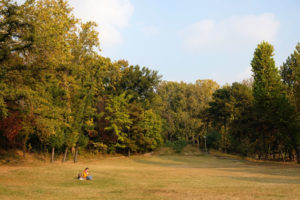 Leo sitzt in einem Park in Seoul im Gras.