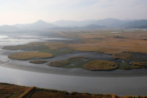 Blick von oben auf das Suncheon Wetland Reserve in Südkorea.