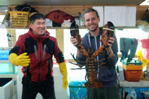 Sebastian hält einen Riesenhummer auf dem Fischmarkt in Südkorea.