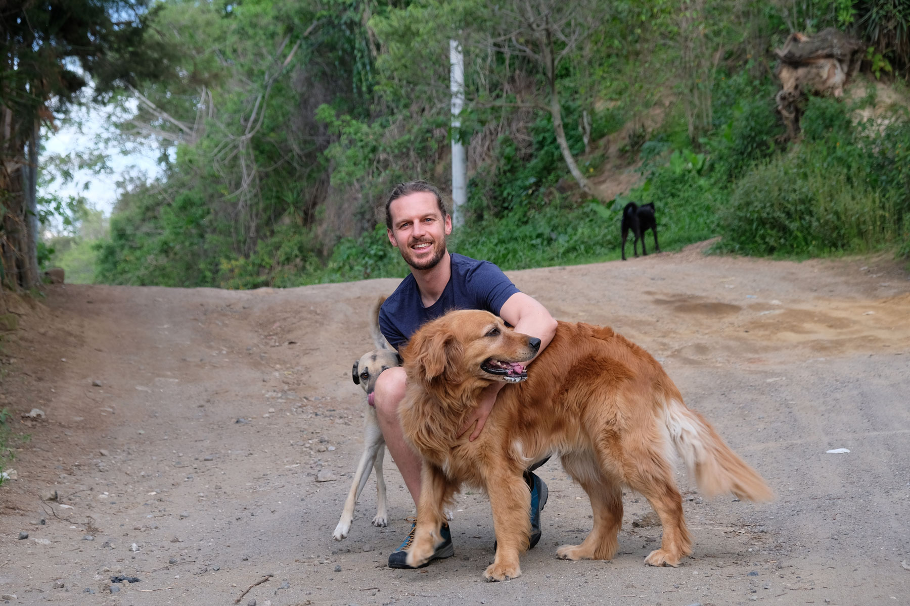 Sebastian geht beim House Sitting mit zwei Hunden Gassi.