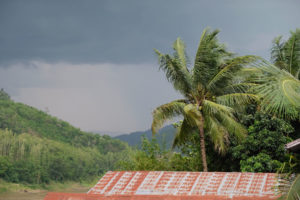 Eine Palme und Gewitter in Laos