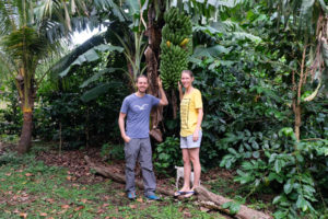 Leo und Sebastian mit einer großen Bananenstaude in Nicaragua.