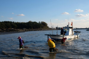 Muschelsammlerinnen bringen ihren Fund an den Strand.