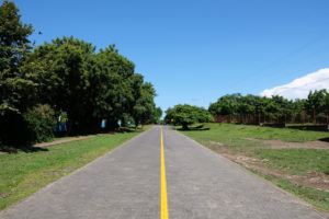 Eine Straße auf der Insel Ometepe führt ins Grün.