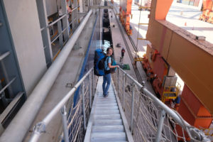 Leo läuft im Hafen Manzanillo, Mexiko, die Gangway hinunter.