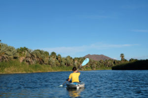 Leo paddelt in der Laguna von San Ignacio.