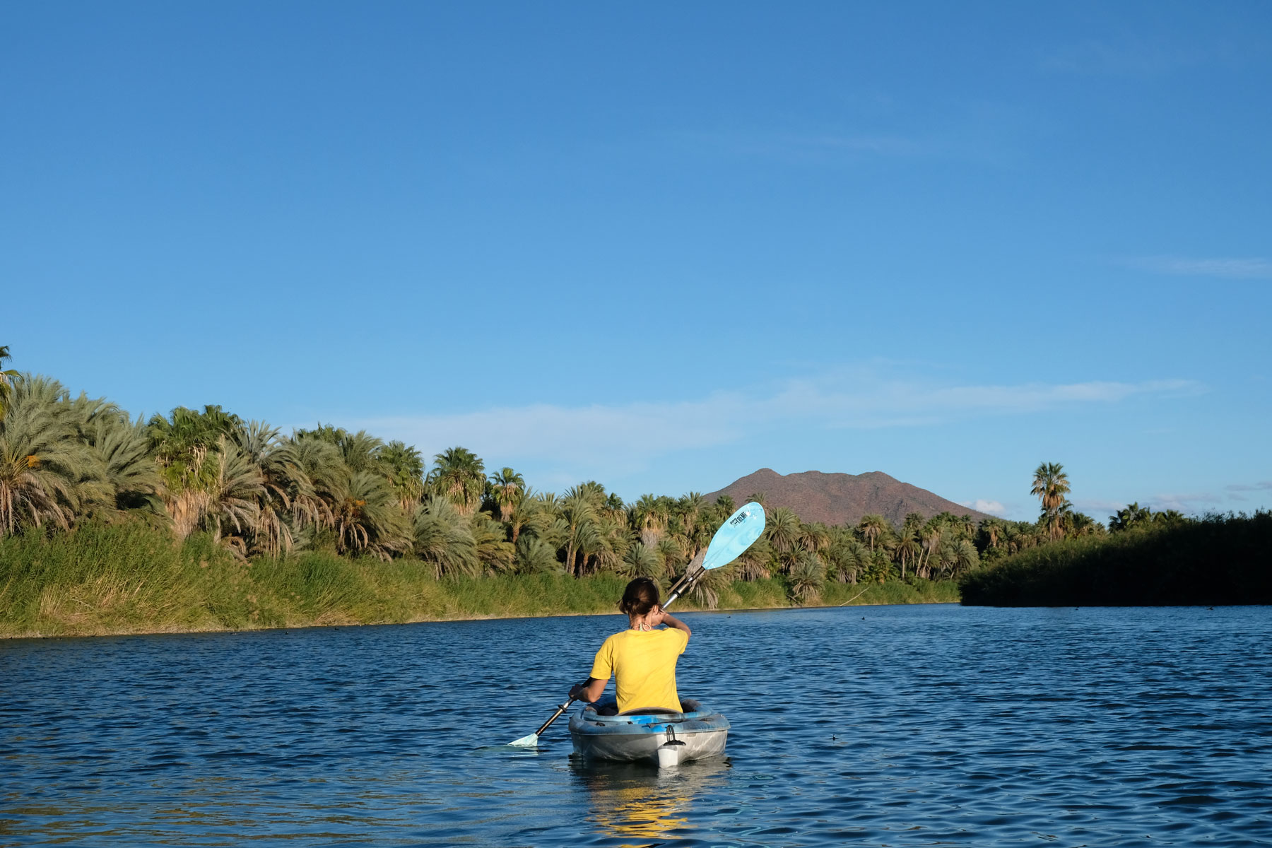 Leo paddelt in der Laguna von San Ignacio.