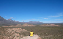 Leo sitzt mit Blick auf die Weite der Baja California auf einem Felsen.