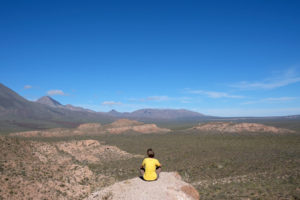 Leo sitzt mit Blick auf die Weite der Baja California auf einem Felsen.