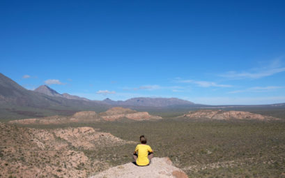 Leo sitzt mit Blick auf die Weite der Baja California auf einem Felsen.