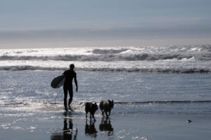 Sebastian läuft mit unseren House Sitting Hunden am Strand von Mexiko.