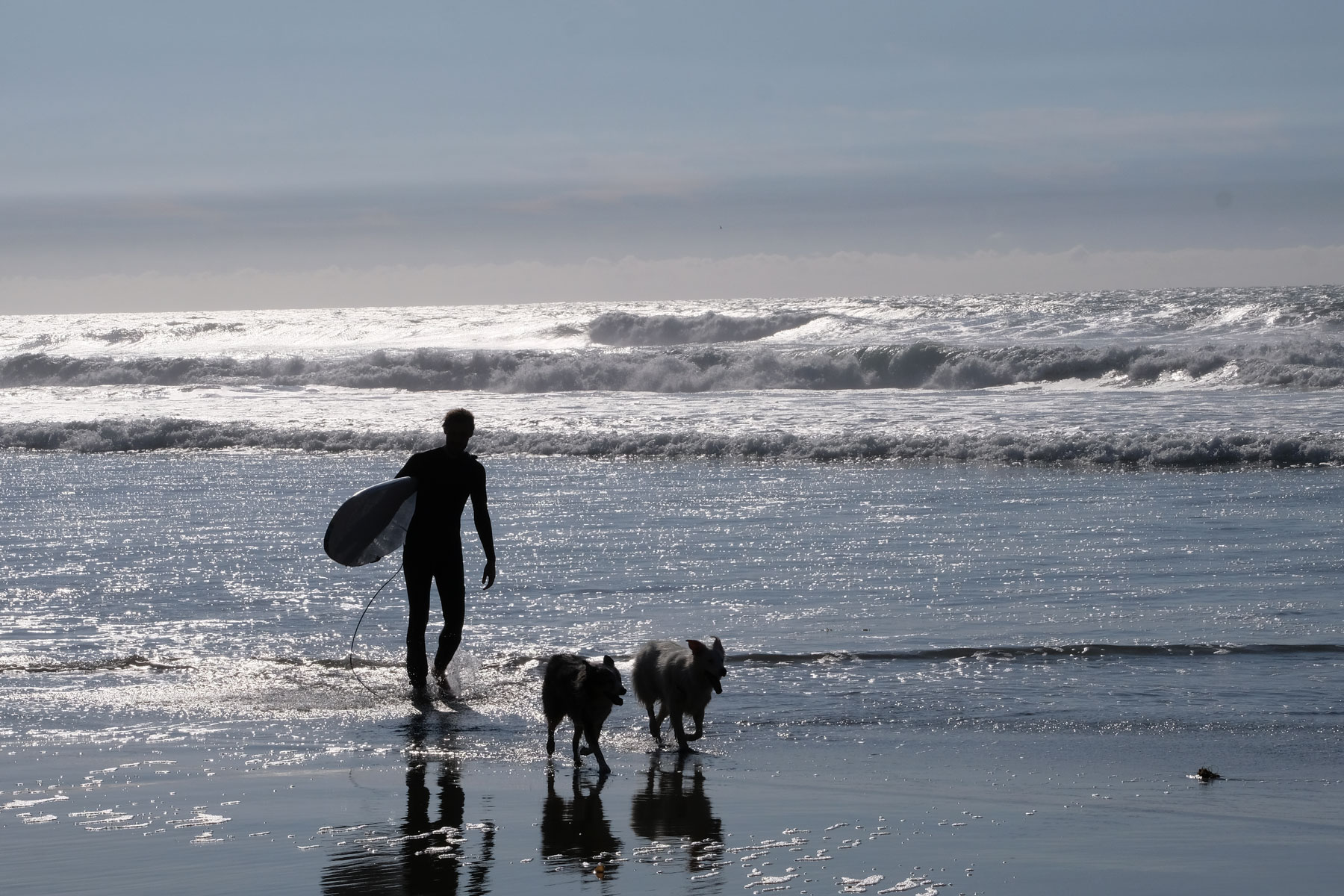 Sebastian läuft mit unseren House Sitting Hunden am Strand von Mexiko.