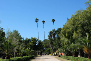 Der Botanische Garten in Los Mochis in Mexiko.