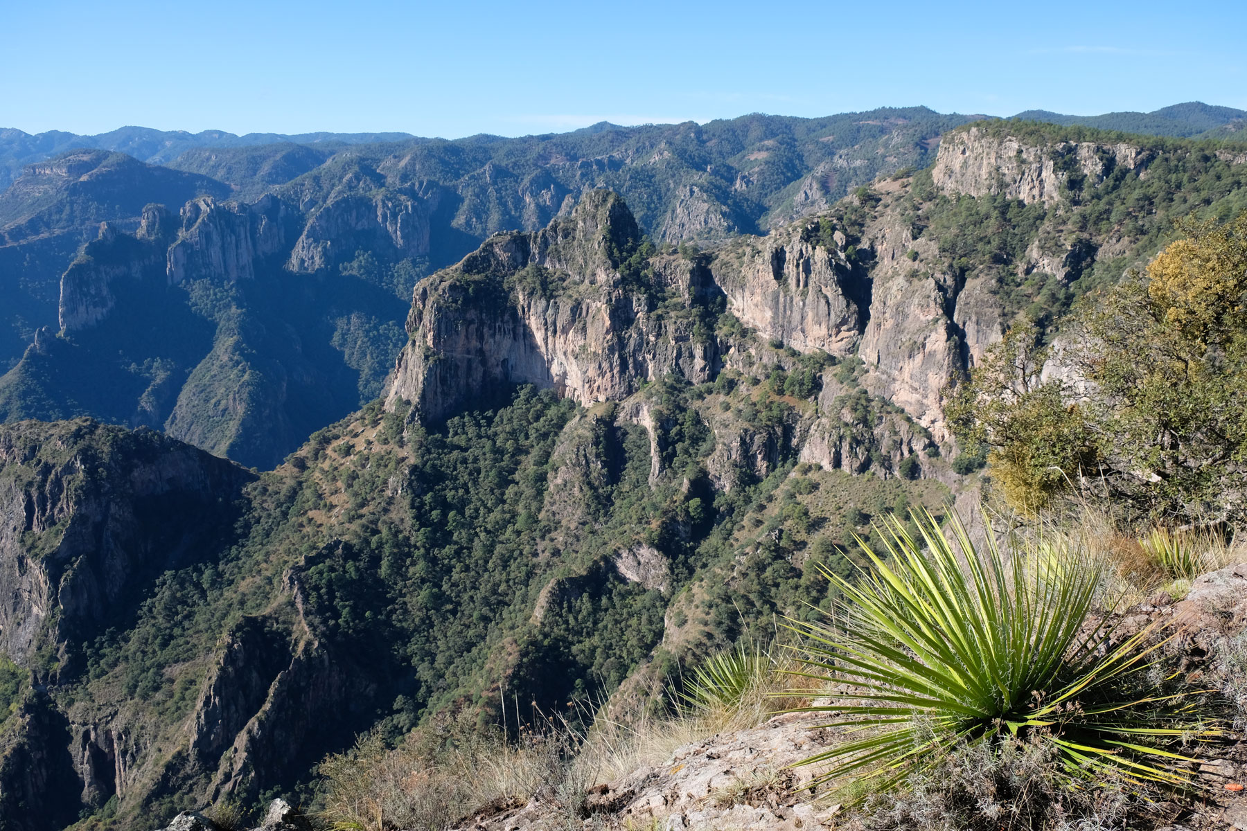 Der Urique Canyon in Mexiko.