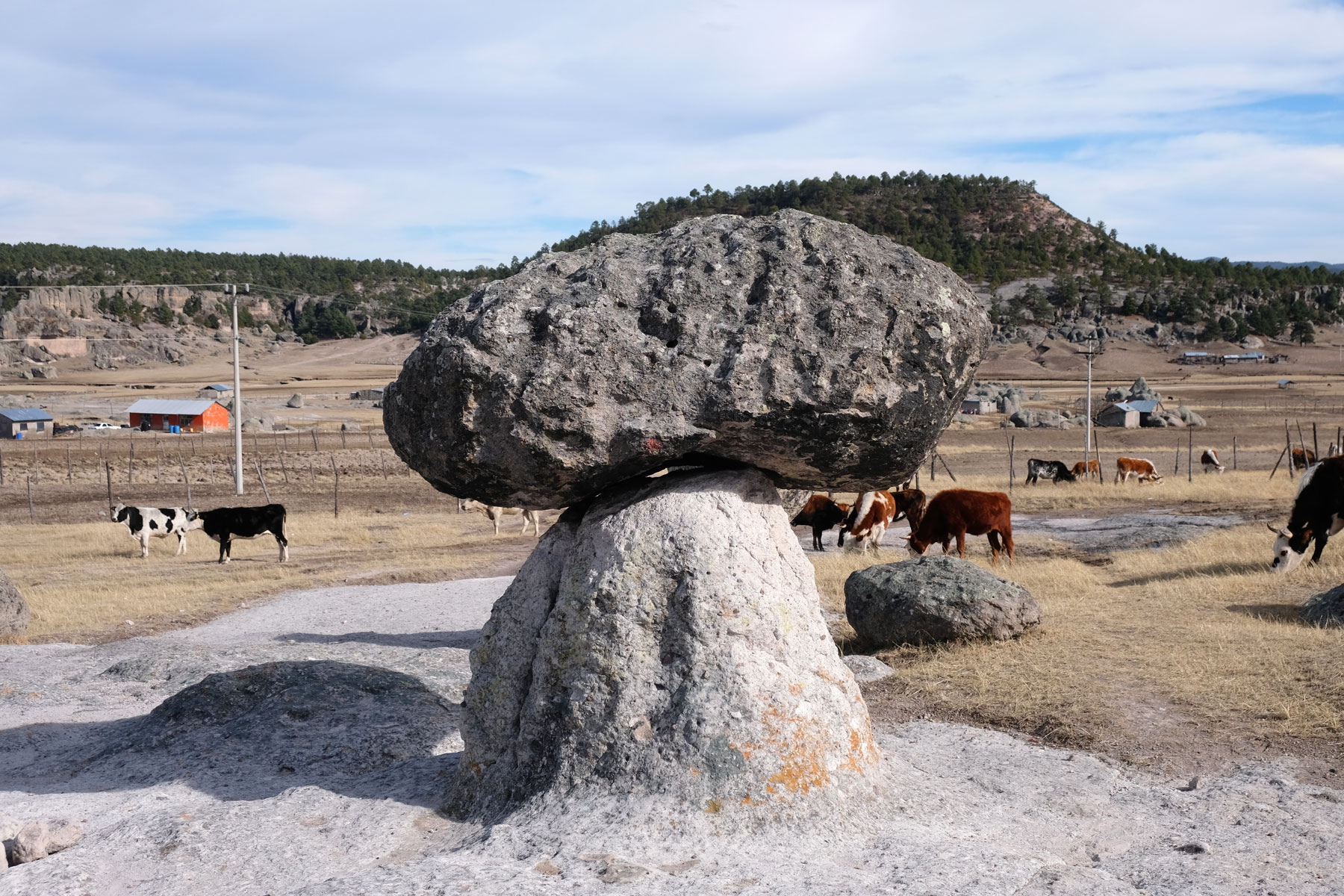 Das Valle de Hongo in Mexiko.