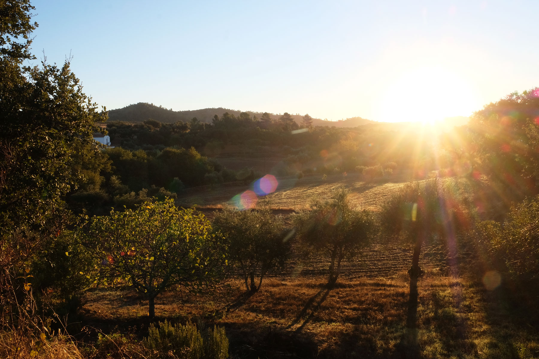 Sonnenaufgang in Portugal.