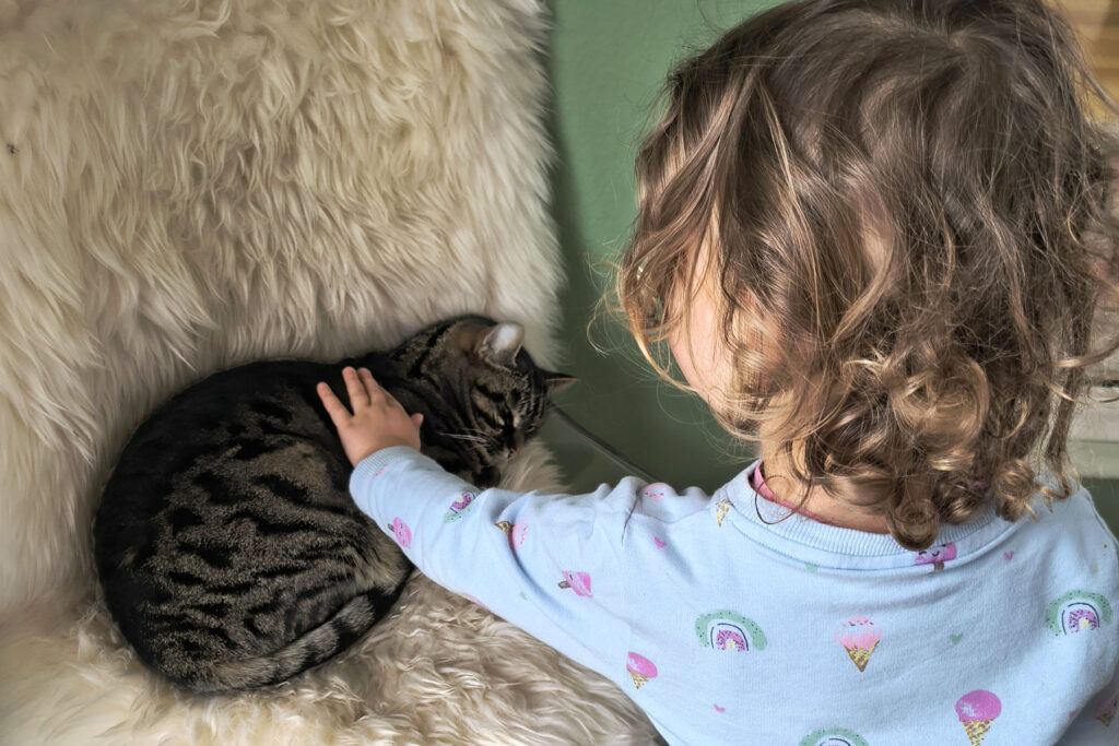 EIn Kind, dass eine Katze streichelt, die auf einem Stuhl liegt.